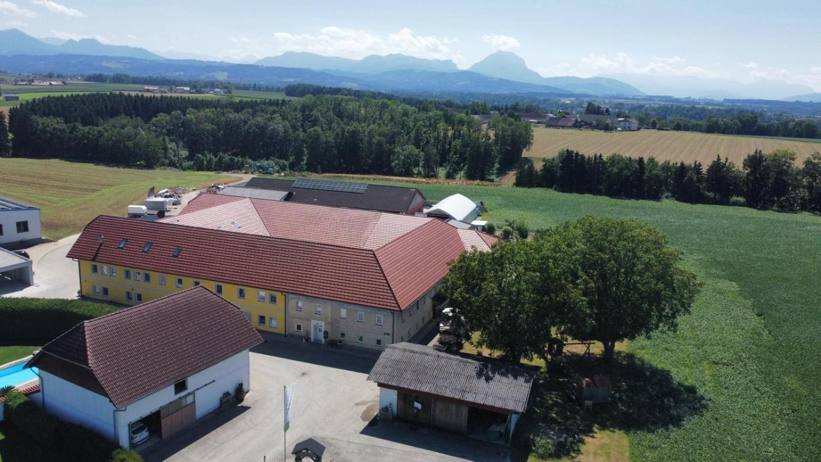 Vogelhubergut - Familie Scherleithner Vorchdorf Buitenkant foto